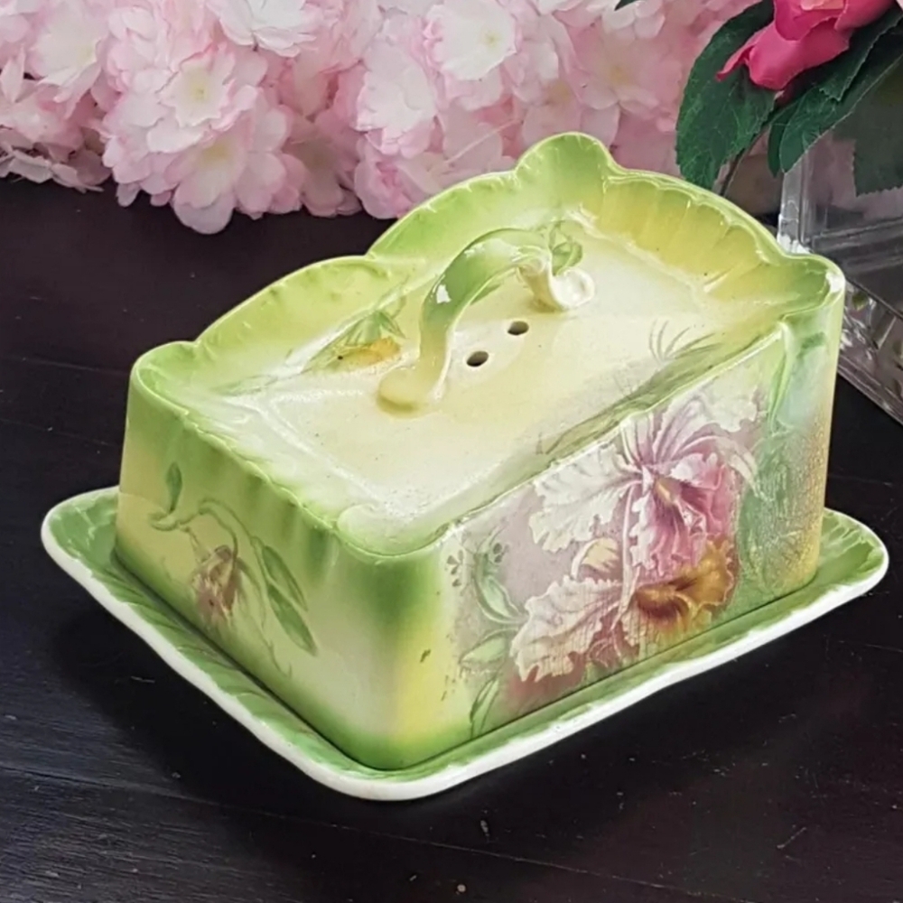 Covered Butter Dish, Hand Painted Cheese Keeper by Franz Anton Mehlem 1885-1920